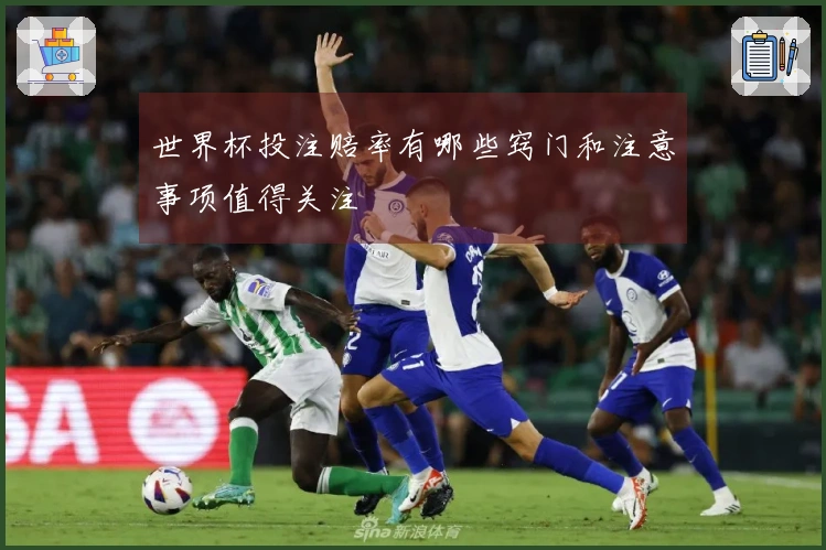 世界杯投注赔率有哪些窍门和注意事项值得关注