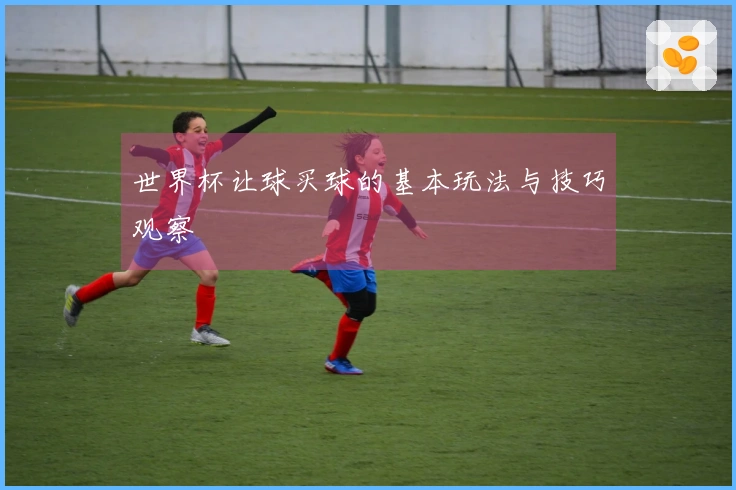 世界杯让球买球的基本玩法与技巧观察