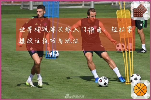 世界杯滚球买球入门指南，轻松掌握投注技巧与玩法