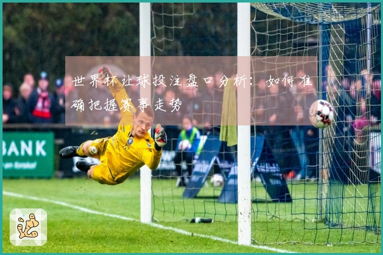 世界杯让球投注盘口分析：如何准确把握赛事走势